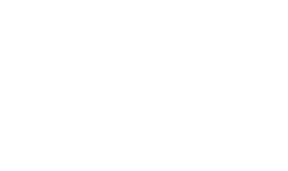 Dessiner le mont Royal : 70 regards sur un patrimoine vivant